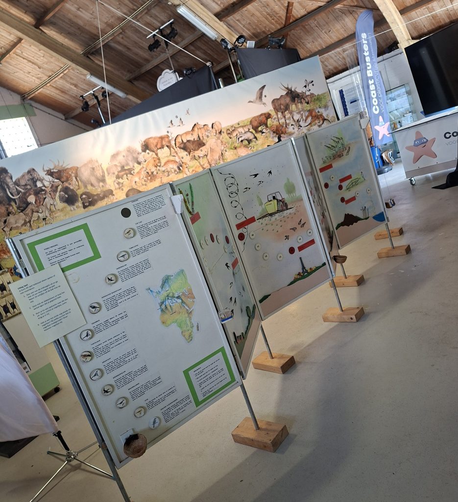 Spel Vogeltrek: educatief paneel over trekvogels en vogeltrek voor natuureducatie voor kinderen